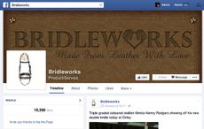 Bridleworks.jpg