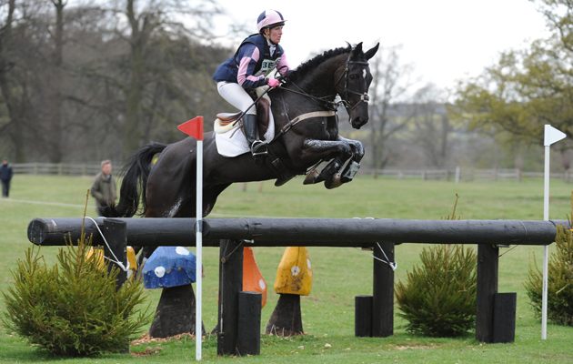 HorseNo338_Belton15pn_7713.jpg