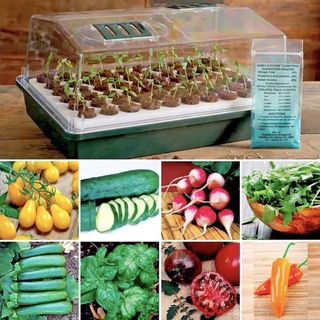 Organic Vegetable Seed Bio Dome Collection