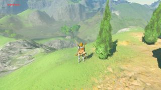 Link at the spot in Hyrule for the West Necluda Breath of the Wild Captured Memories collectible