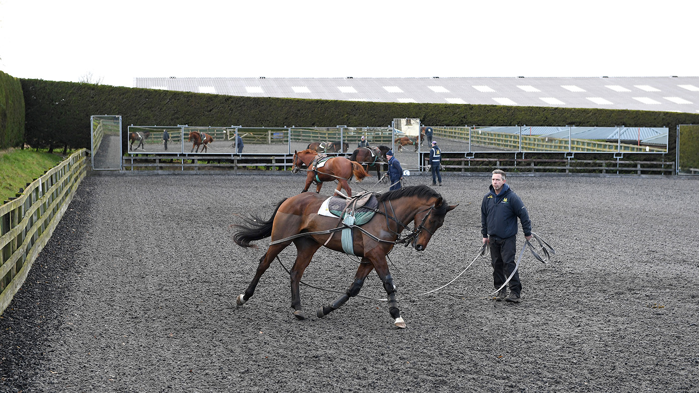 Mark Johnston racing