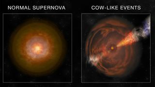 An artists conception comparing a normal supernova to a cow supernova.