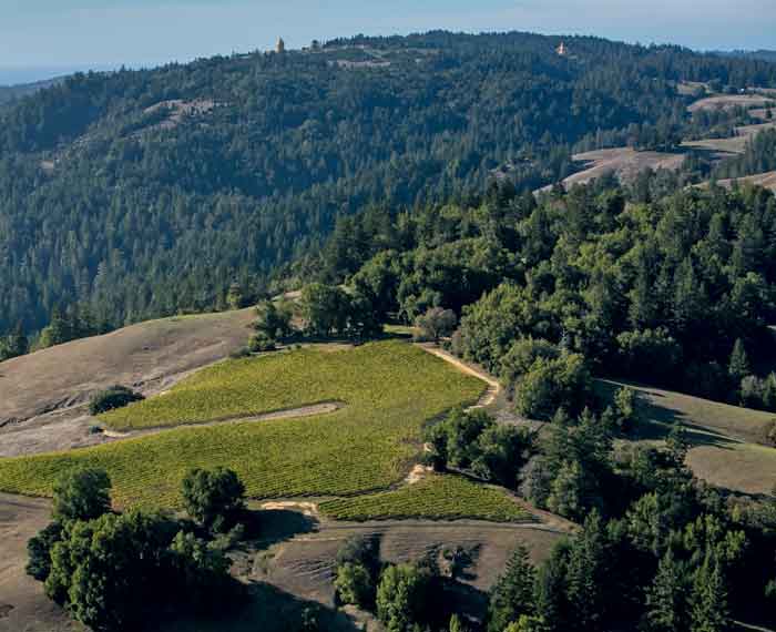 The McDougall Ranch vineyard, within the Fort Ross-Seaview AVA, Sonoma County