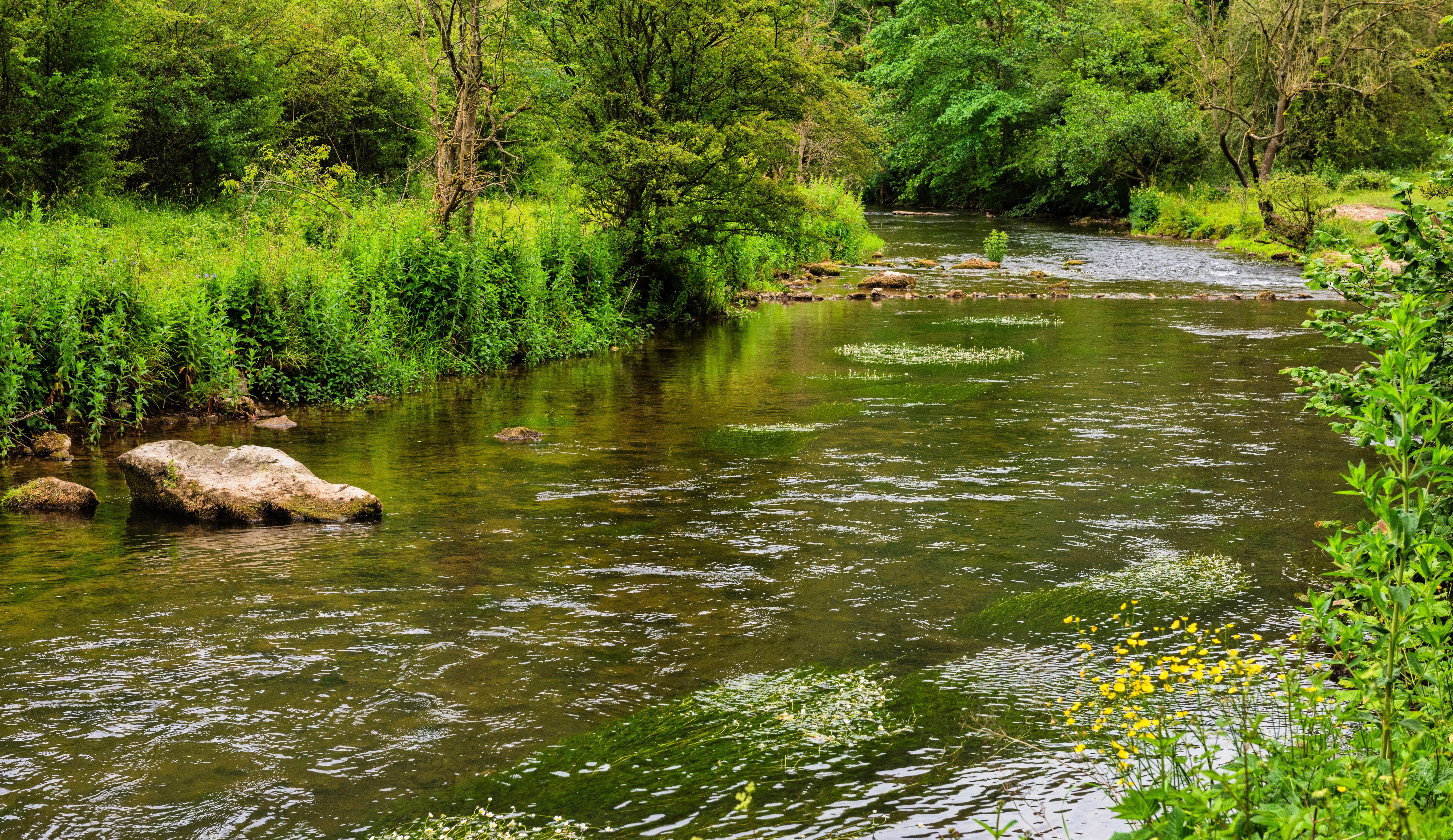 The River Wye in Monsal Dale in the Peak District in Derbyshire, England