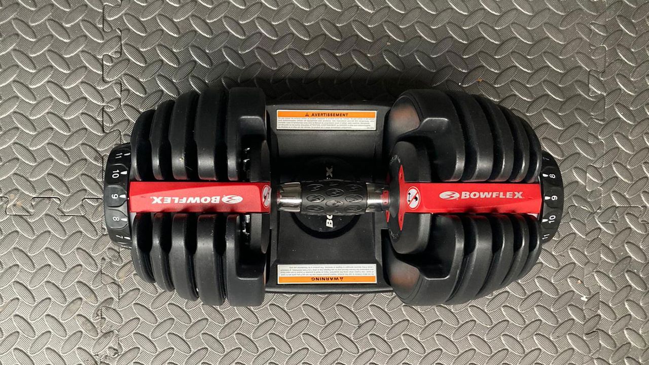 Bowflex SelectTech 552 adjustable dumbbell, a view from above