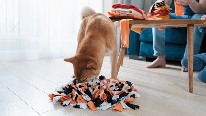 Paw5 Wooly Snuffle Mat Is One of the Best Dog Toys I've Bought