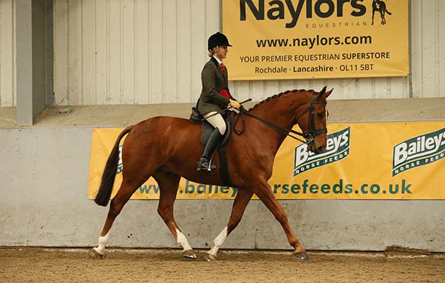 RIDDEN HUNTER CHAMPIONSHIP RIDDEN HUNTER CHAMPIONSHIP CHAMPION&amp;#8232;37: MAVERICK MAYBE R: Niki Turner