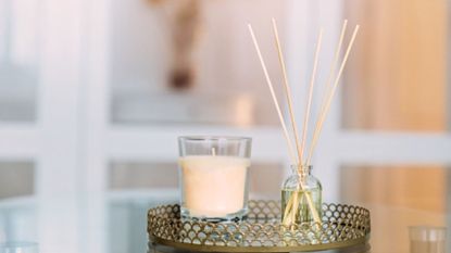 Scent Shop  America's Scent Maker: Candles, Room Mist and More