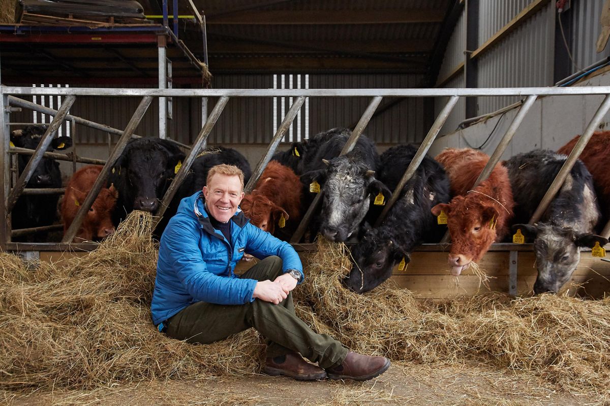 Adam Henson hosts Our Family Farm Rescue.