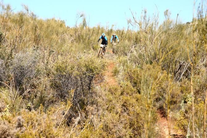 A team rolling through a sector of singletrack.
