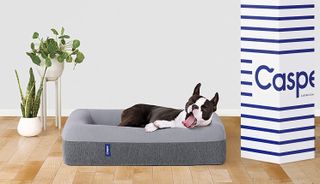 Best dog bed mattress: Casper Dog Bed