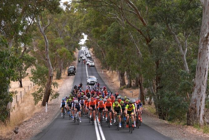 The riders enjoy the scenery on stage 1 of the 2019 Women's Tour Down Under