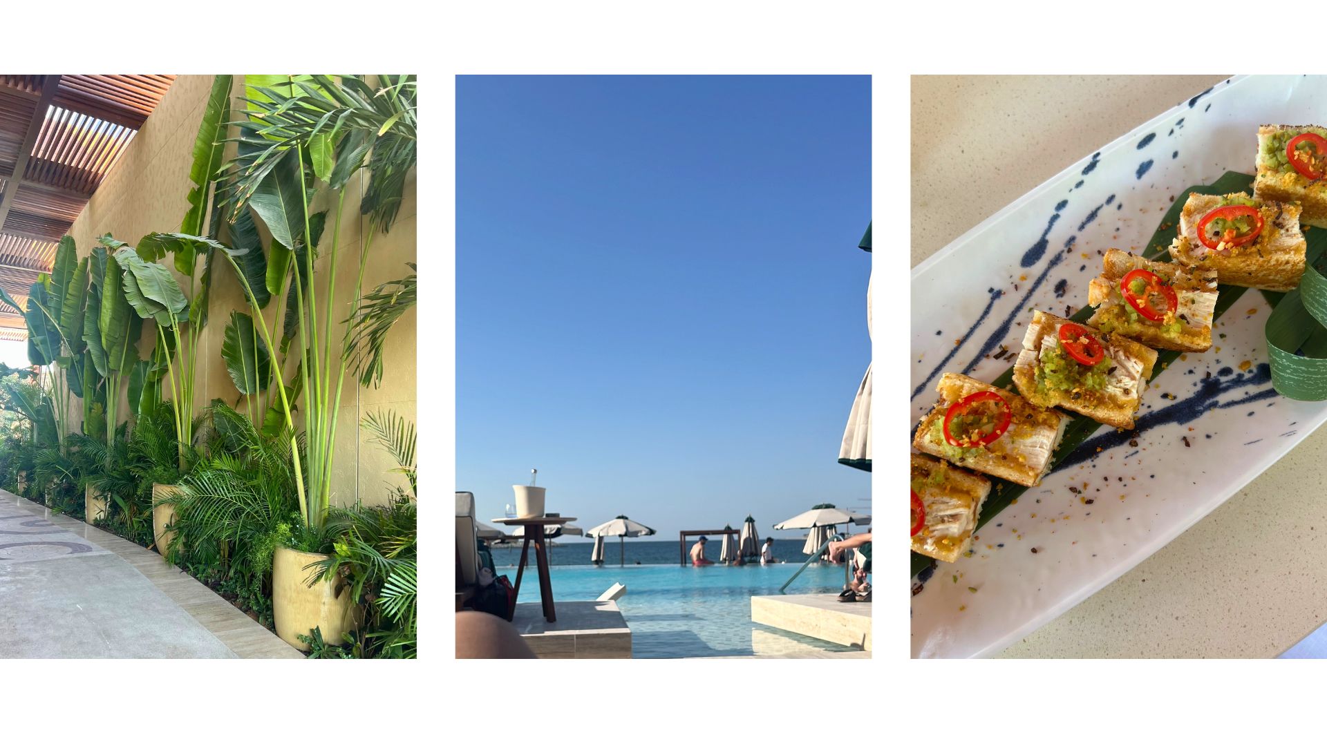 pretty plants, a sunny swimming and slider sandwiches at a beach club in Dubai