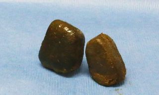 wombat poop cube shaped cubes butt yang poops butts scientists finally know