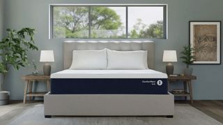 The Sleep Number Comfort Lux mattress on a bed frame in a bedroom