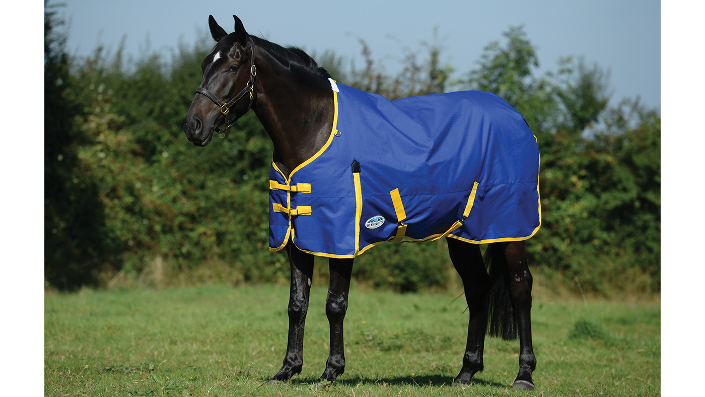 WeatherBeeta ComFiTec Classic from WeatherBeeta&amp;rsquo;s cheap horse rug range