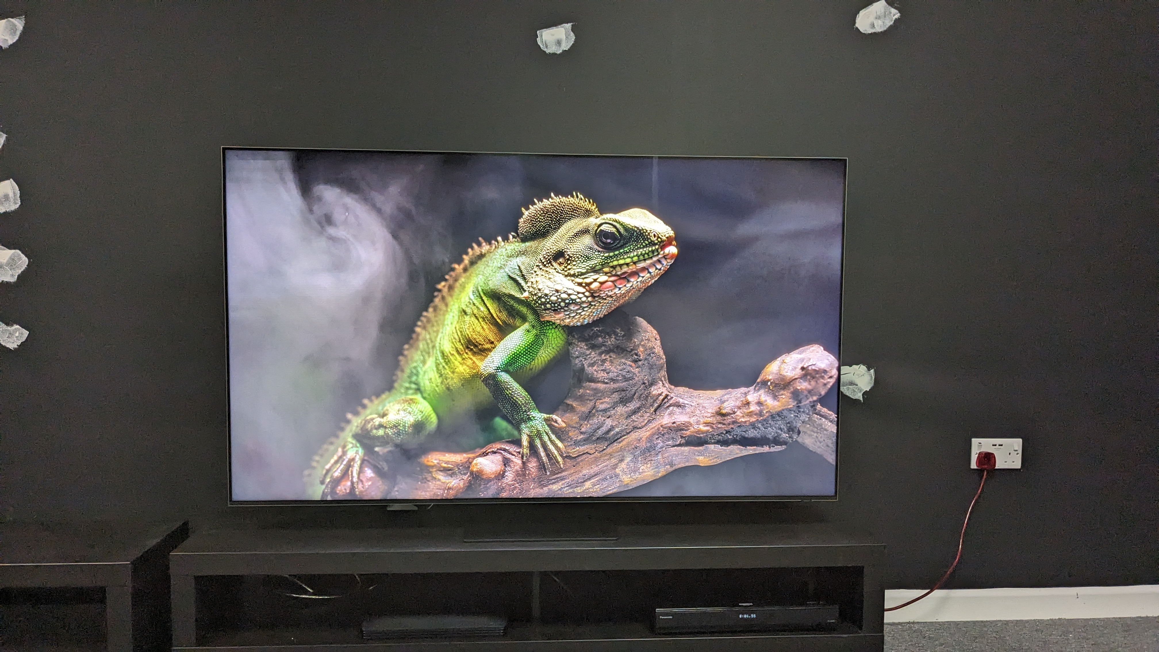 Samsung QN800D with chameleon on screen