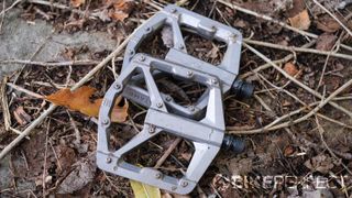 Crankbrothers Stamp 3 flat pedal review