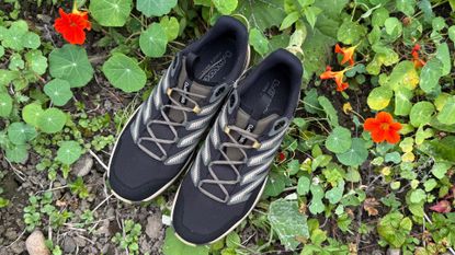 Lowa Maddox Pro GTX Lo review