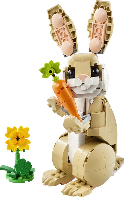 Cute Bunny