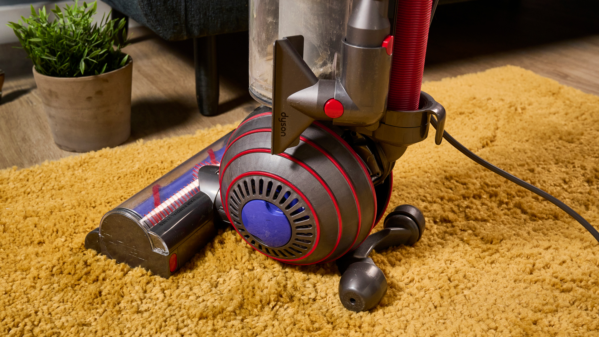 Dyson Ball Animal upright vacuum cleaner