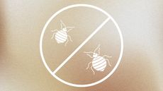 Graphic of two bed bugs with a no sign around them
