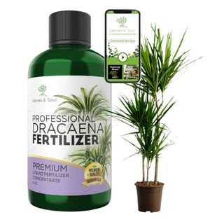 A bottle of professional dracaena fertilizer