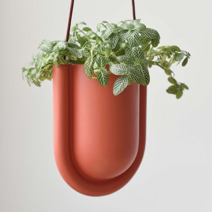 Misewell Portico Hanging Planter