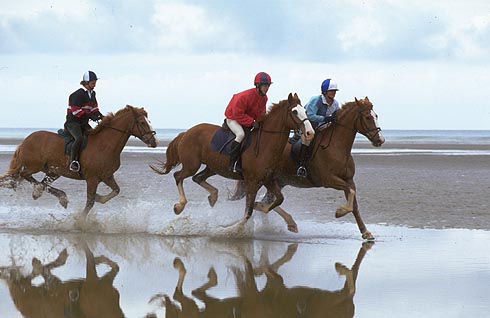 riding-holiday-beach.jpg