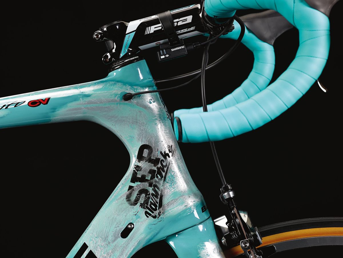 A side view of the Sep Vanmarcke logo the head top