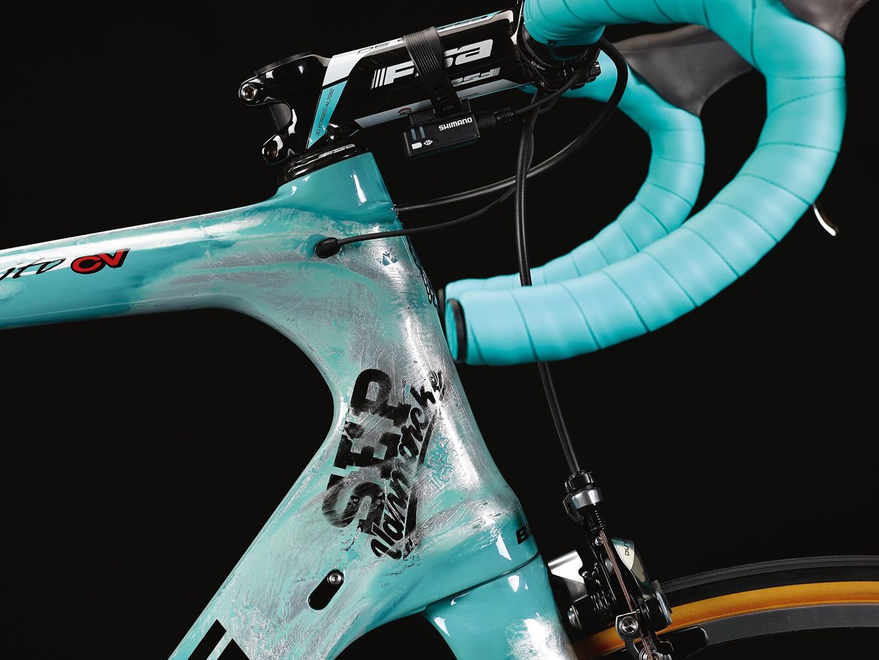 A side view of the Sep Vanmarcke logo the head top