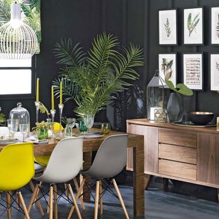 Black painted dining room with tropical theme and houseplants