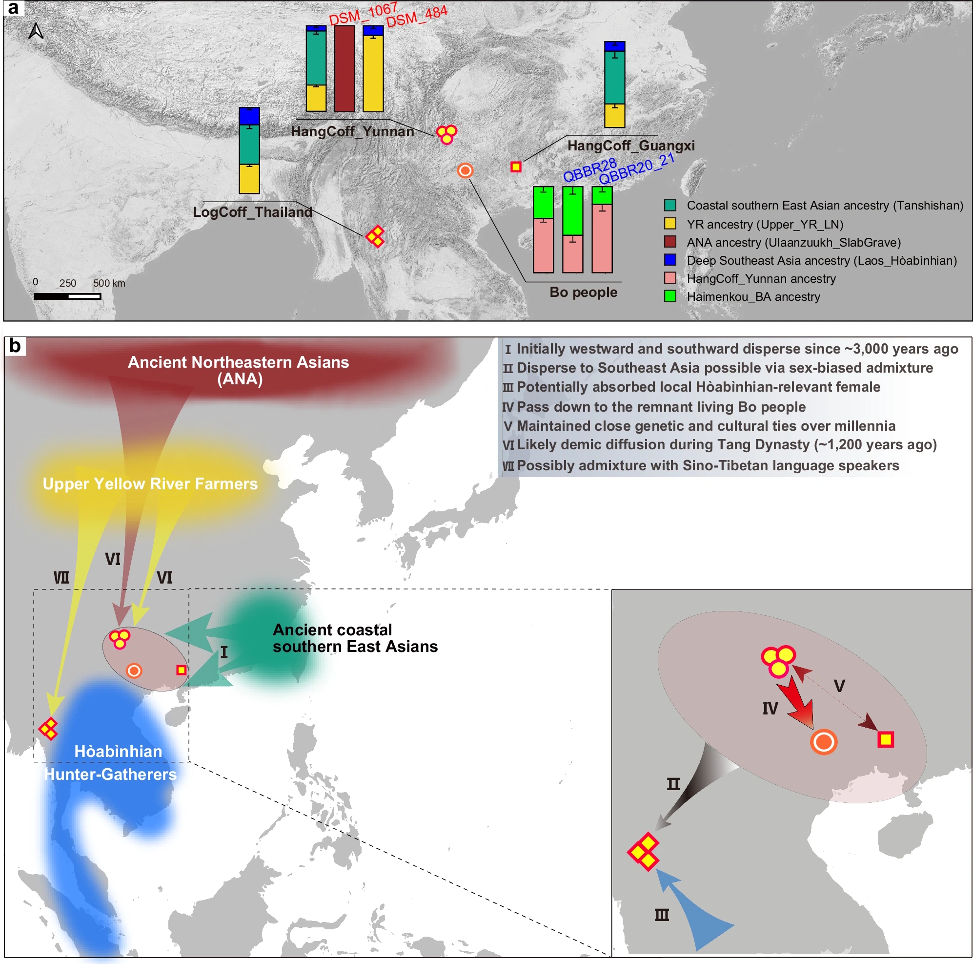 Graph displaying results of the genetic analysis of the ancient remains, identifying the deceased&#039;s ancestors.