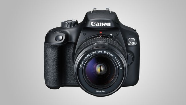 Nikon o Canon