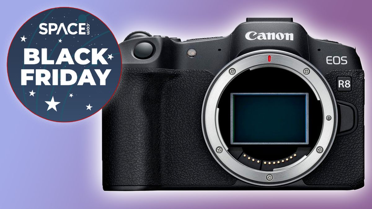Save $300 on Canon EOS R8 mirrorless camera in this Black Friday