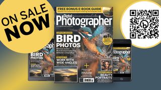 Capture stunning bird photos with Digital Photographer Magazine Issue 282, out now!