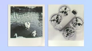 A photo of a swan and signets swimming next to a photo of a DJI Neo drone, taken on a Kodak Mini Shot 3 Era 2-in-1 hybrid instant camera