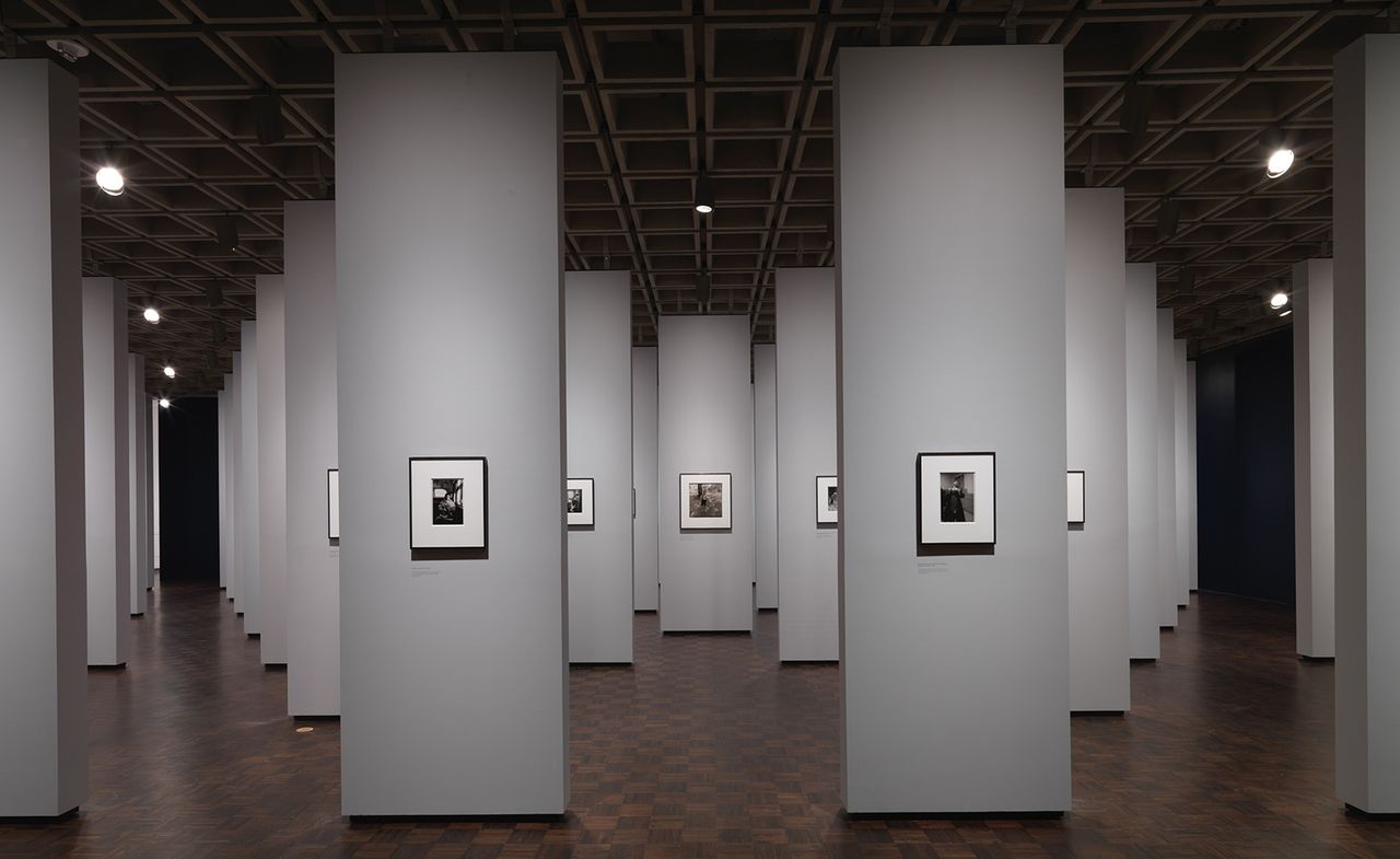 installation view