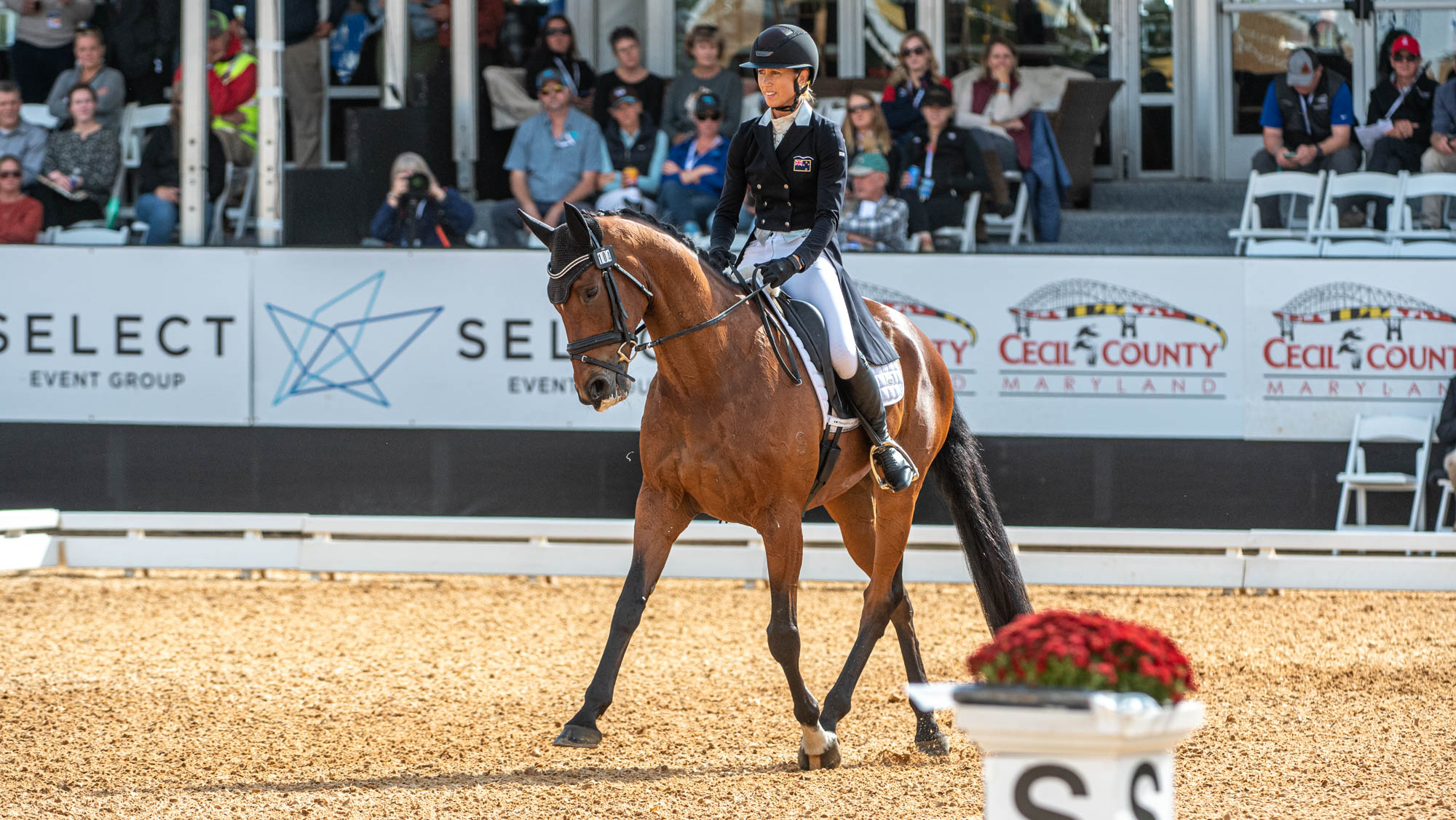 Maryland 5 Star dressage: Monica Spencer and Artist