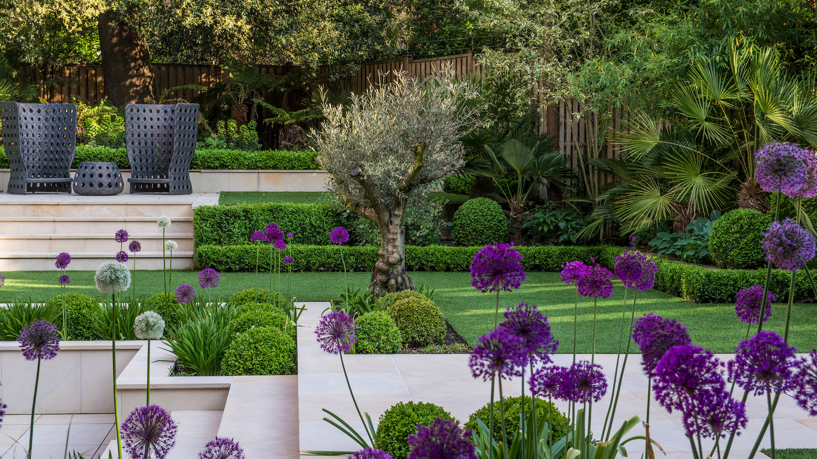 landscaped sloping garden with terraces and purple planting scheme