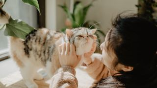 Woman and cat