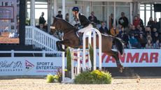 Maryland 5 Star results: William Fox-Pitt and Grafennacht