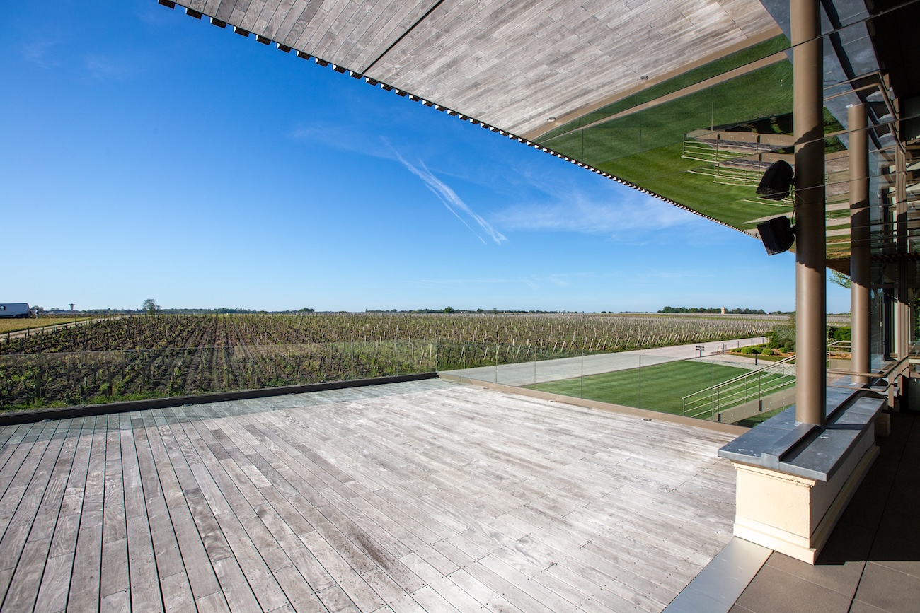 view of vineyards from Pichon Baron