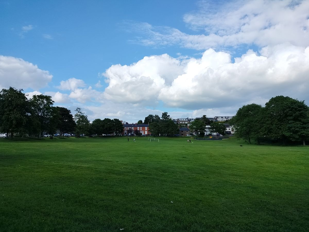 Realme 9 camera sample showing an open field