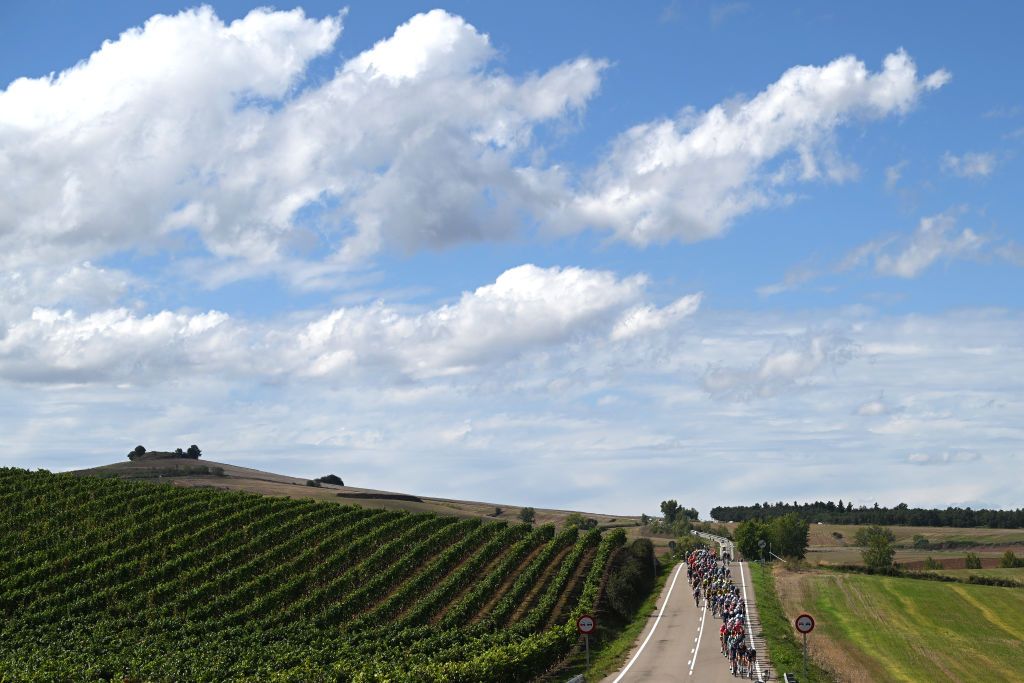 ALTO DE MONCALVILLO SPAIN SEPTEMBER 06 A general view of the peloton passing La Rioja vineyards during the La Vuelta 79th Tour of Spain 2024 Stage 19 a 1735km stage from Logrono to Alto de Moncalvillo 1490m UCIWT on September 06 2024 in Alto de Moncalvillo Spain Photo by Dario BelingheriGetty Images