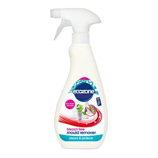 Ecozone Mould Remover, Bleach Free