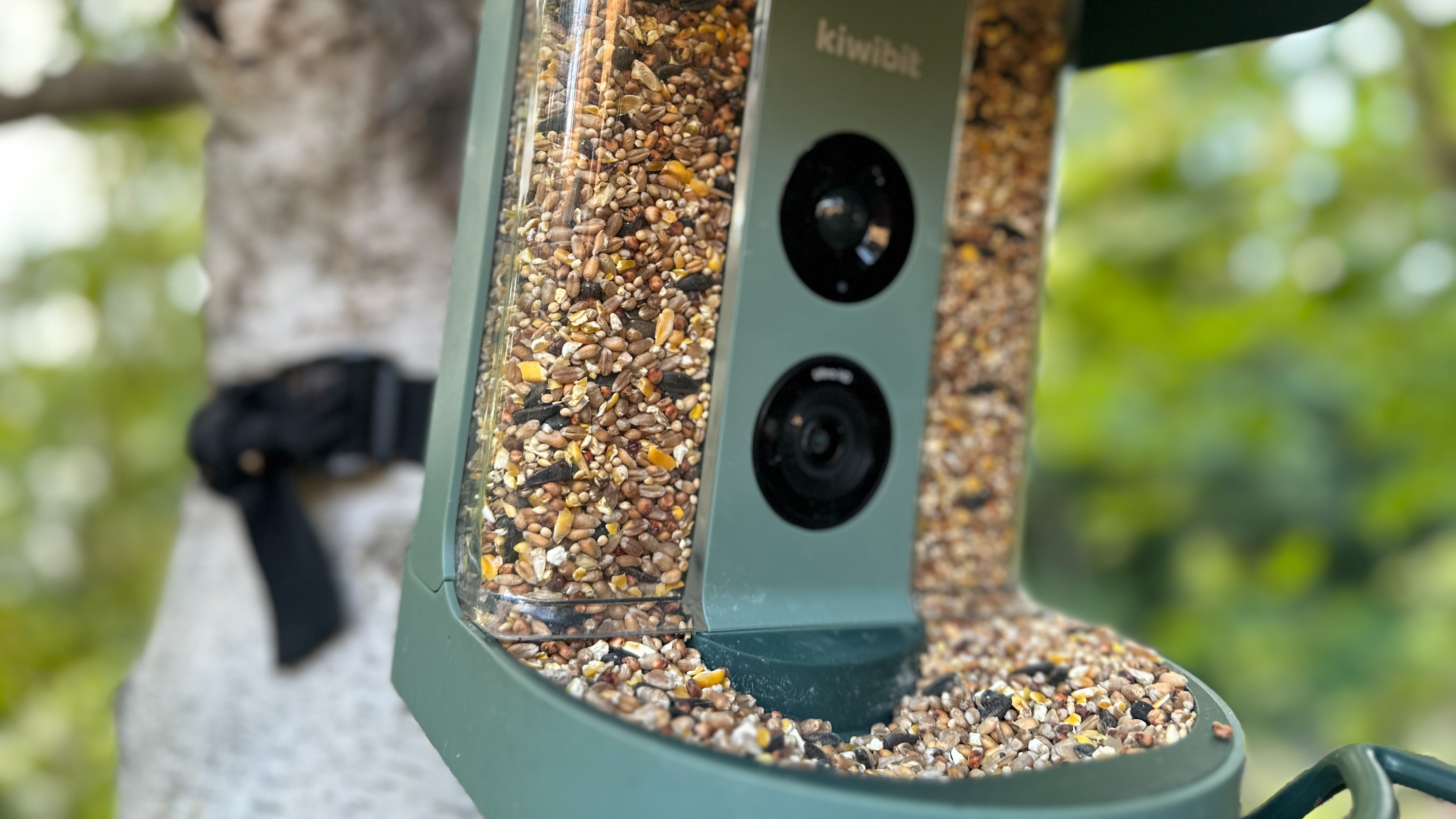 Close up photo of seed tray of the Kiwibit Beako
