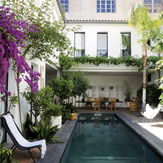 swimming pool with relaxing chair and plants