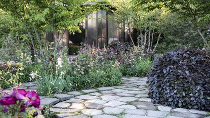 The Glasshouse Garden by Jo Thompson at the RHS Chelsea Flower Show 2025. with small trees and colorful perennial roses and foxgloves