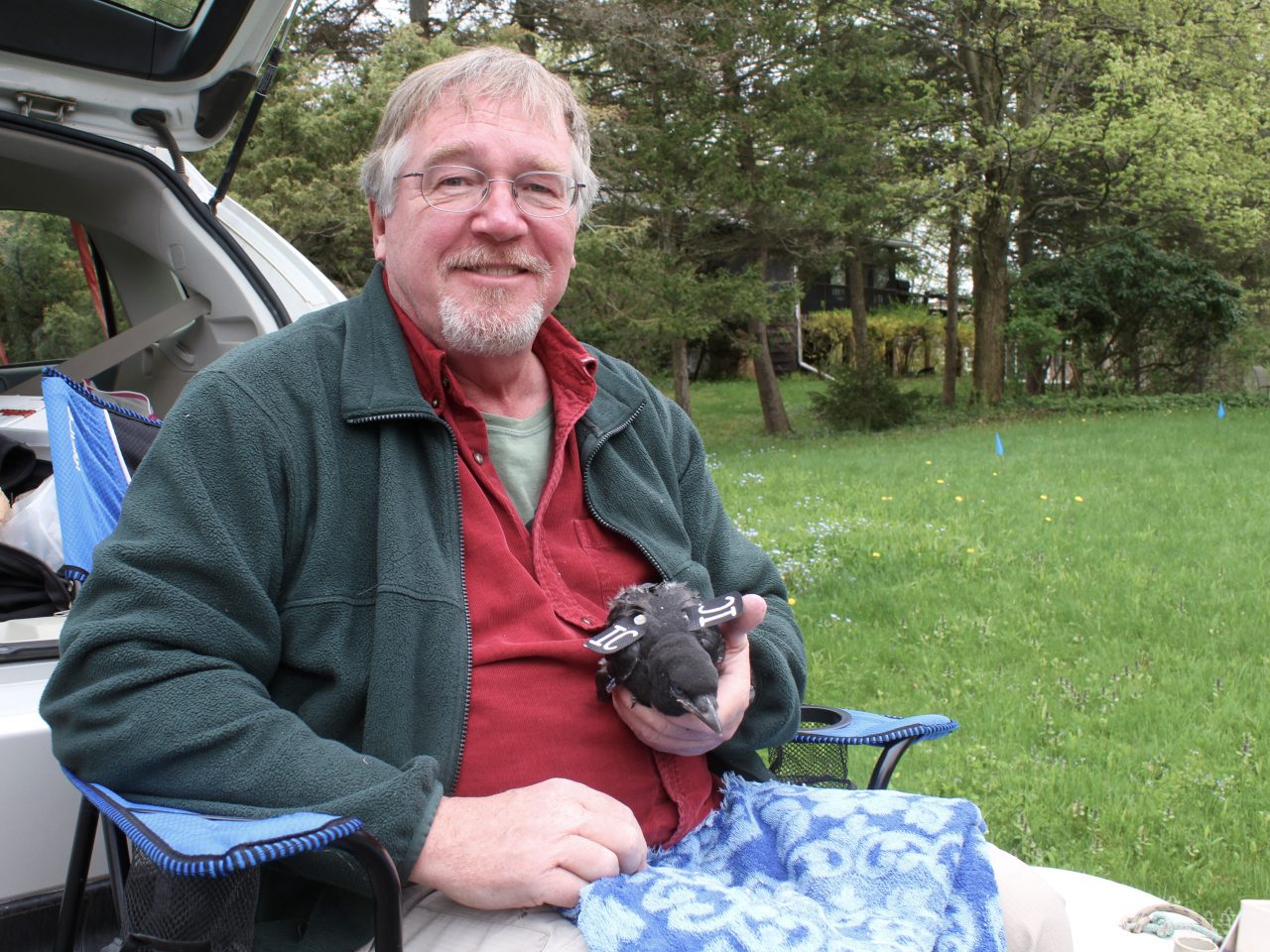 Kevin McGowan holds a crow while sitting down